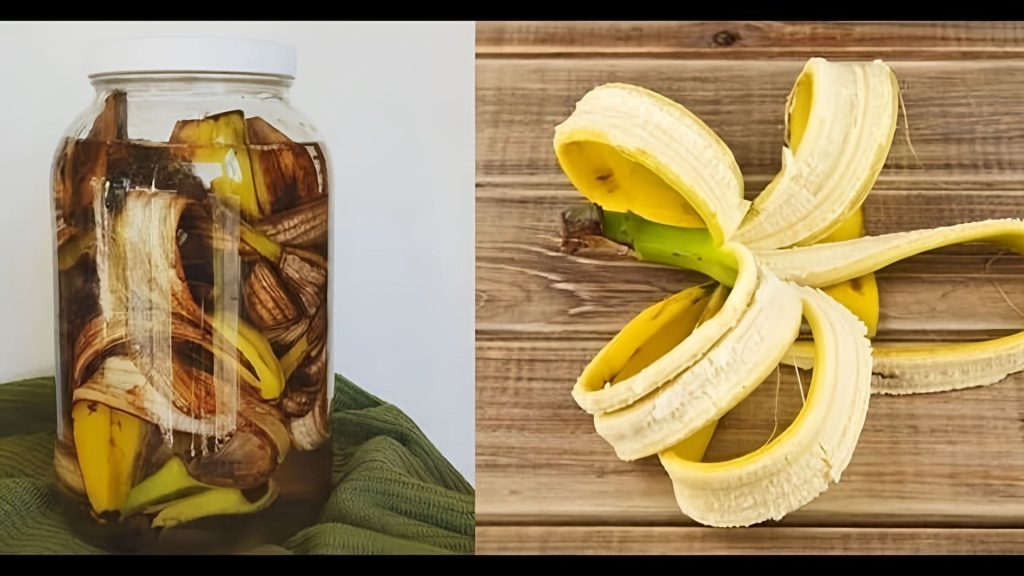 Dlaczego Japończycy nigdy nie wyrzucają skórek z bananów? Sekret „złotego nawozu”, który przywiozłem z podróży